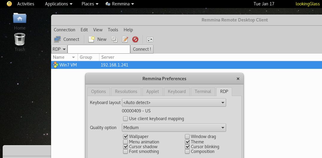 Remmina Preferences Dialog