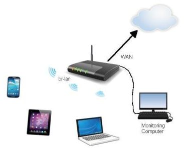 Local Area Network configuration, showing monitoring computer and internet cloud.